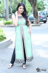 Nikitha Narayan at Mellaga Tattindi Manasu Talupu Movie Press Meet